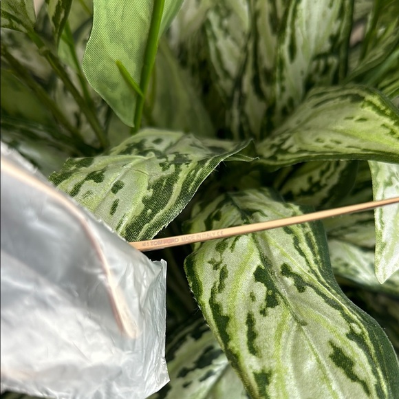 Tom Ford Heather TF739 01D polarized Sunglasses - Picture 7 of 11